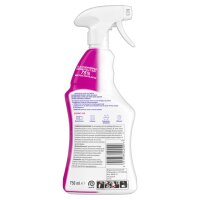 SAGROTAN Allzweckreiniger Blütenfrische &...