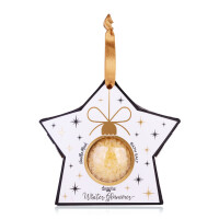 ACCENTRA Badesalz 80g Winter Glamour Stern gold schwarz...