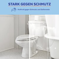 SAGROTAN Reinigungstuch WC & Bad, 60 Stück 3347326