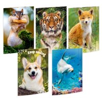 RNK Gummizugmappe Tiere, A3, 14+1 Gratis, sortiert 45030