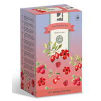 Q-CONNECT Früchtetee, 20 Beutel KF10245