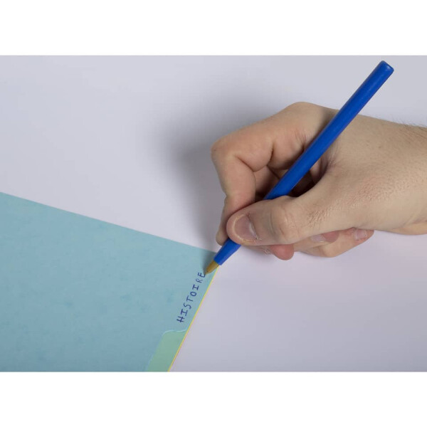 EXACOMPTA Ordnerregister, A4, 12-teilig, sortiert 7712E