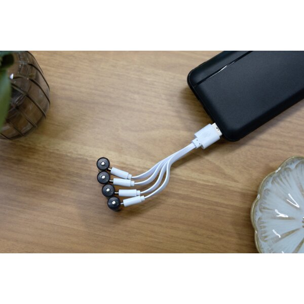 ANSMANN Premium Li-Ion Akku Micro AAA mit USB-C Kupplung