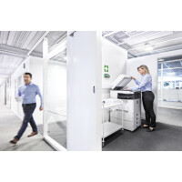 CEDERROTH Salvequick Pflasterspender, bestückt,...