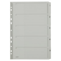 LEITZ Mylarkarton-Register, Zahlen, A4, 1-5, 5-teilig, grau