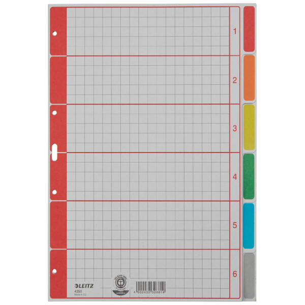 LEITZ Karton-Register extrastark, blanko, A4, 6-teilig, grau