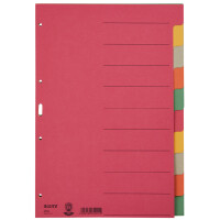 LEITZ Karton-Register extrastark, blanko, A4, 6-teilig