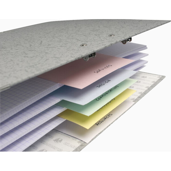 EXACOMPTA Trennstreifen Premium, 105 x 240 mm, weiß