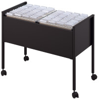 DURABLE Hängemappen-Wagen "Economy 100 DUO", grau