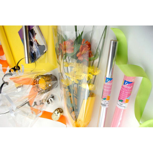 CANSON Geschenkfolie transparent, 35 my, auf Rolle
