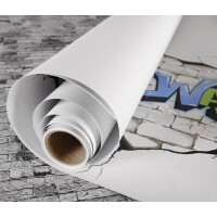 CANSON Zeichenpapier-Rolle "The WALL", 1 x 5 m,...