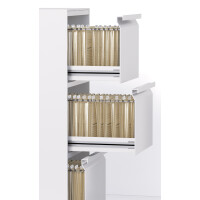 ELBA Hängehefter vertic ULTIMATE, kaufmännische...