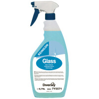 REINILON Glasreiniger, 750 ml Sprühflasche
