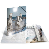 HERMA Eckspannermappe "Koala", PP Glossy, DIN A4