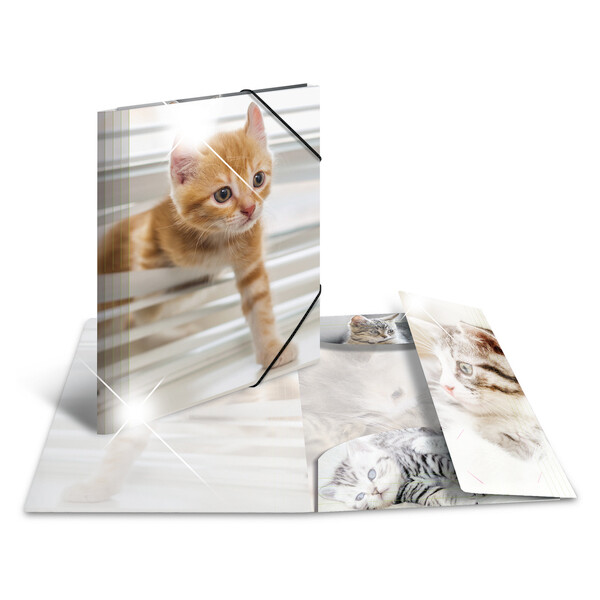 HERMA Eckspannermappe "Katzen", PP Glossy, DIN A3