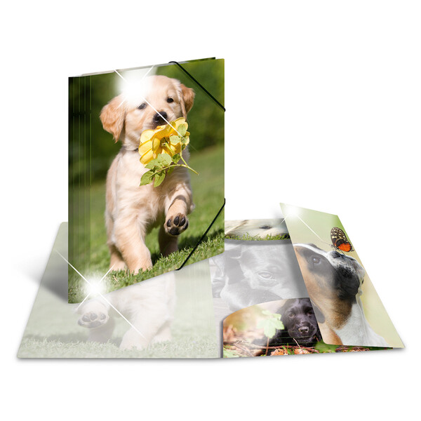 HERMA Eckspannermappe "Katzen", PP Glossy, DIN A3