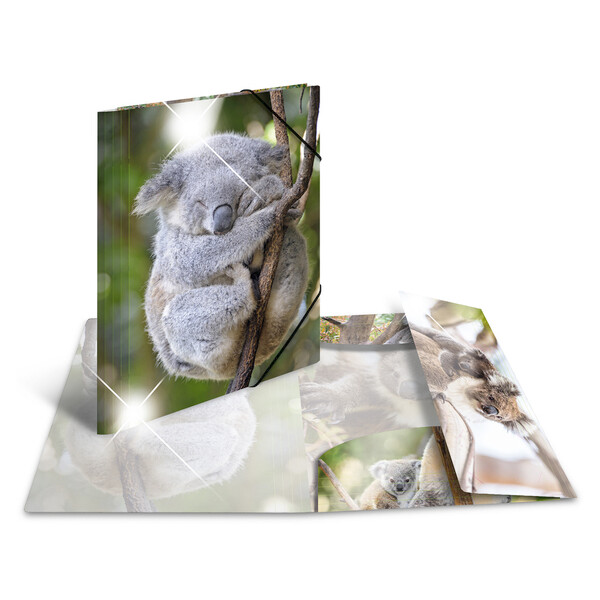 HERMA Eckspannermappe "Katzen", PP Glossy, DIN A3