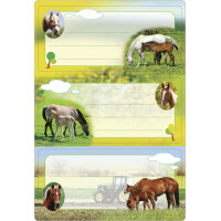 HERMA Buchetiketten "Delfine", 76 x 35 mm