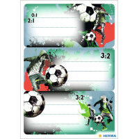 HERMA Buchetiketten "Football", beglimmert