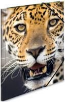 HERMA Eckspannermappe "Leopard", aus PP, DIN A3