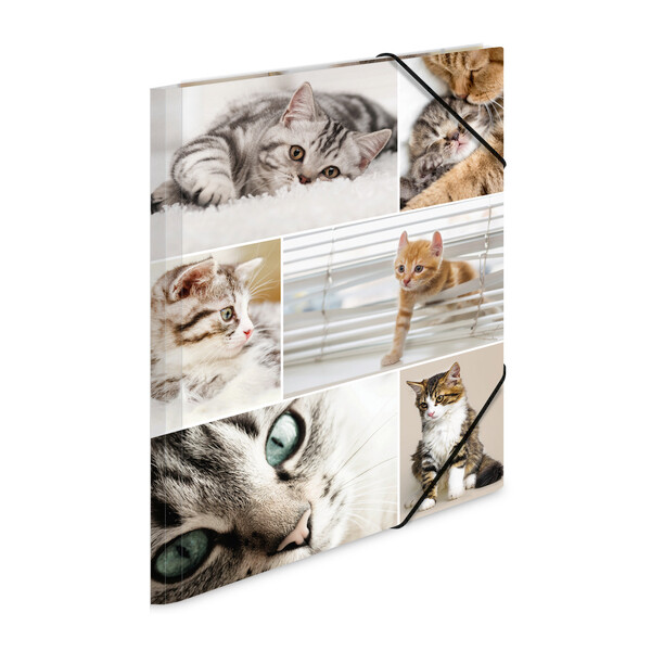 HERMA Eckspannermappe "Katzen", aus Karton, DIN A4