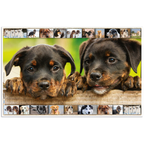 HERMA Schreibunterlage "Hunde", (B)550 x (H)350 mm