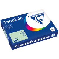 Clairefontaine Multifunktionspapier Trophée, A4, chamois