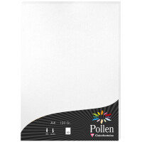 Pollen by Clairefontaine Papier DIN A4, bonbonrosa