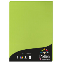 Pollen by Clairefontaine Papier DIN A4, minze