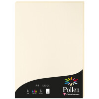 Pollen by Clairefontaine Papier DIN A4, bordeaux