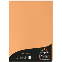 Pollen by Clairefontaine Papier DIN A4, bordeaux