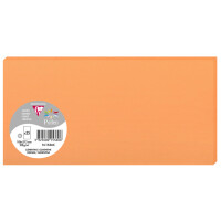 Pollen by Clairefontaine Karte DL, fuchsia