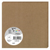 Pollen by Clairefontaine Doppelkarte C6, Kraft braun