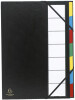 EXACOMPTA Ordnungsmappe Harmonika, PP, 12 Fächer, 3-farbig