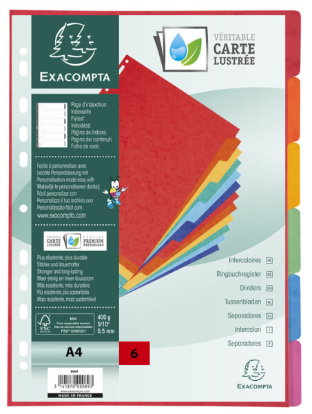 EXACOMPTA Karton-Register, DIN A4, 6-teilig