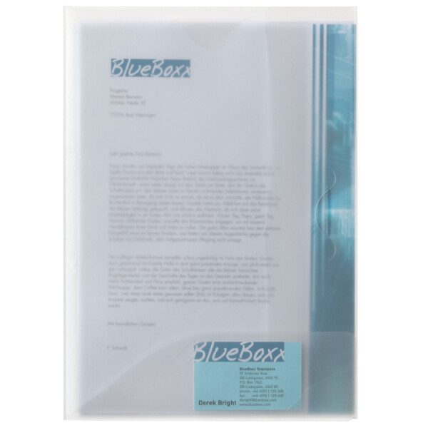 DURABLE Sammelmappe MULTIFILE, DIN A4, aus PP, transparent