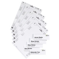 DURABLE Einsteckschilder INFO SIGN REFILL für...