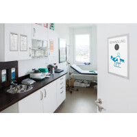 DURABLE Magnetrahmen DURAFRAME, DIN A4, schwarz