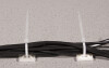 LogiLink Kabelbinder, 100 x 2,5 mm, Nylon, weiß