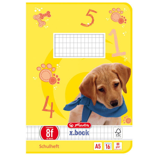 herlitz Schulheft x.book, DIN A5, Lineatur 8f rautiert