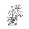COMPO Düngestäbchen für Orchideen