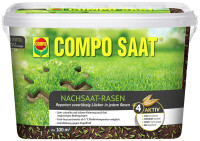 COMPO SAAT Nachsaat-Rasen, 2 kg Eimer für 100 qm