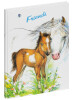 PAGNA Freundebuch "Kleines Pony", 120 g qm, 60 Blatt