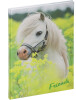 PAGNA Freundebuch "Kleines Pony", 120 g qm, 60 Blatt