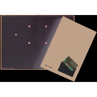PAGNA Unterschriftenmappe Color, DIN A4, 20 Fächer, grün