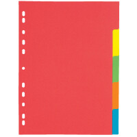 PAGNA Karton-Register, DIN A4, 12-teilig, 6-farbig
