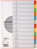 PAGNA Karton-Register, DIN A4, 12-teilig, 12-farbig