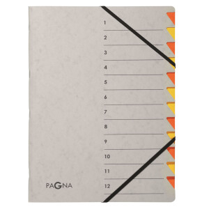 PAGNA Ordnungsmappe Easy Grey, A4, 12 Fächer, grau orange