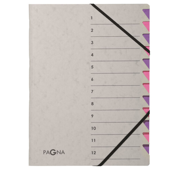 PAGNA Ordnungsmappe Easy Grey, A4, 12 Fächer, grau orange