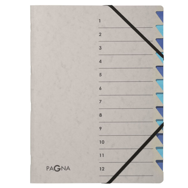PAGNA Ordnungsmappe Easy Grey, A4, 12 Fächer, grau orange